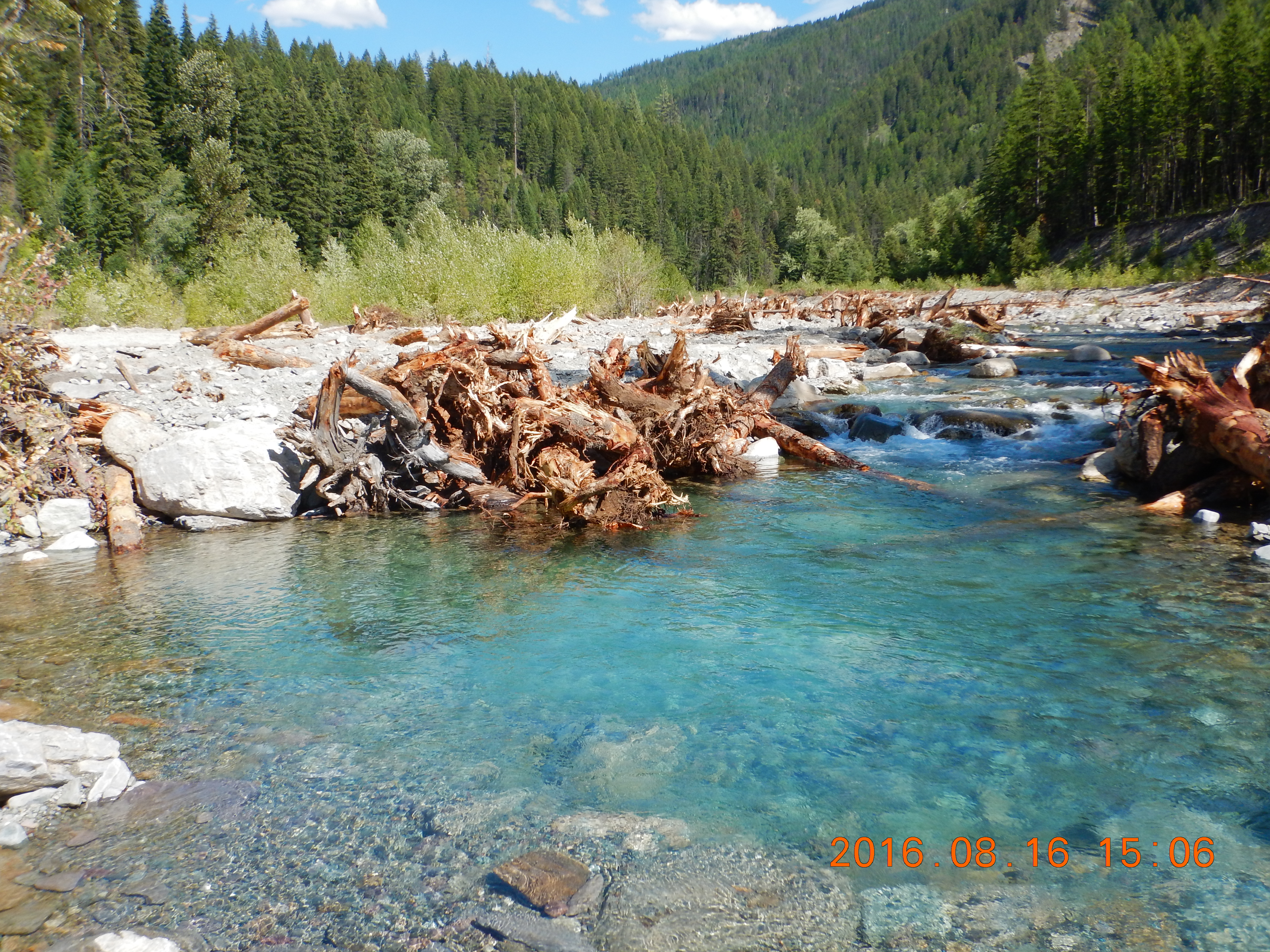 Read more about the article Miners Gulch Stream Restoration Film Preview