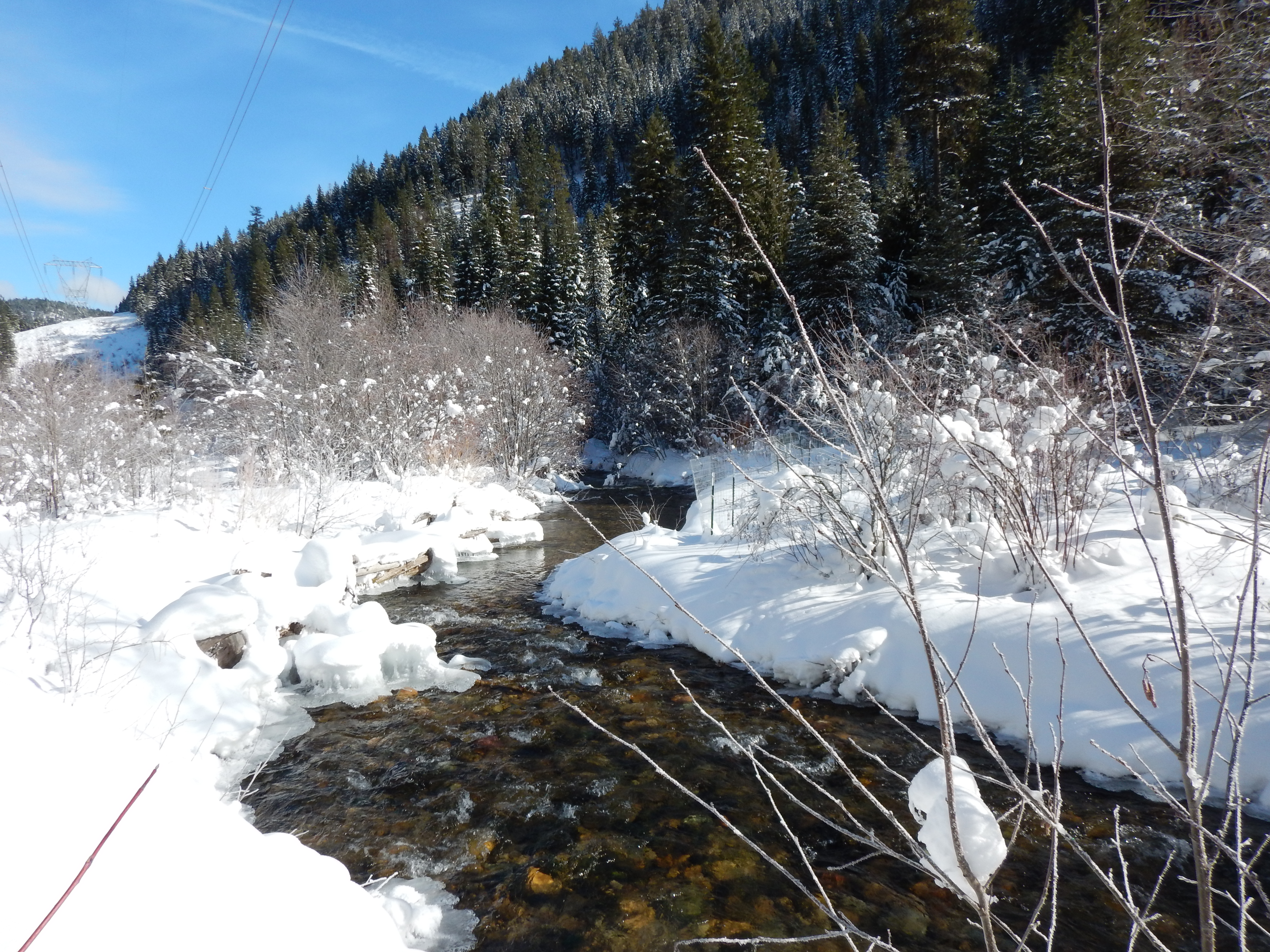Read more about the article Lower Clark Fork Tributary Watershed Restoration Plan – March 2018 Update