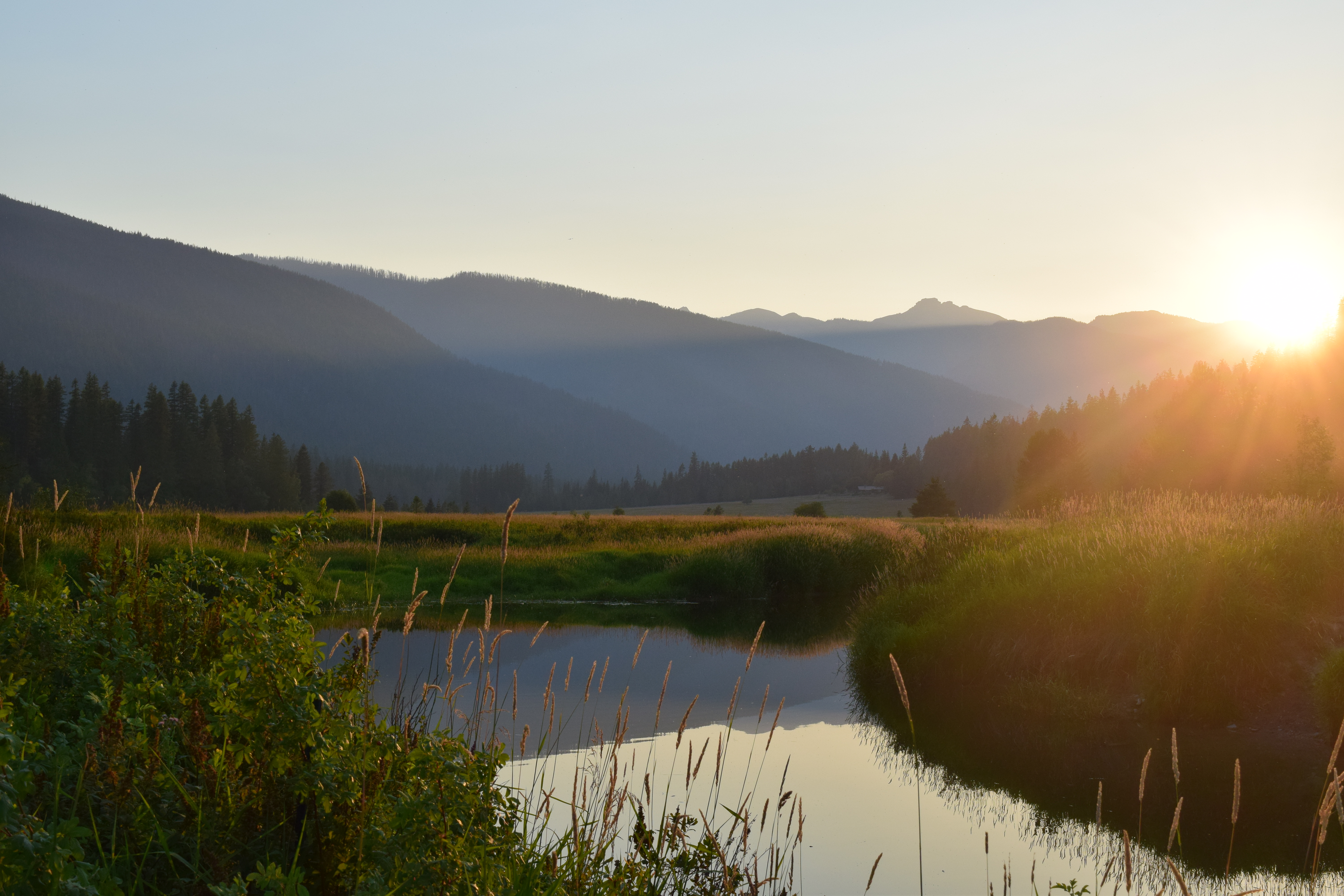 You are currently viewing Lower Clark Fork Tributary Watershed Restoration Plan is finalized!!!