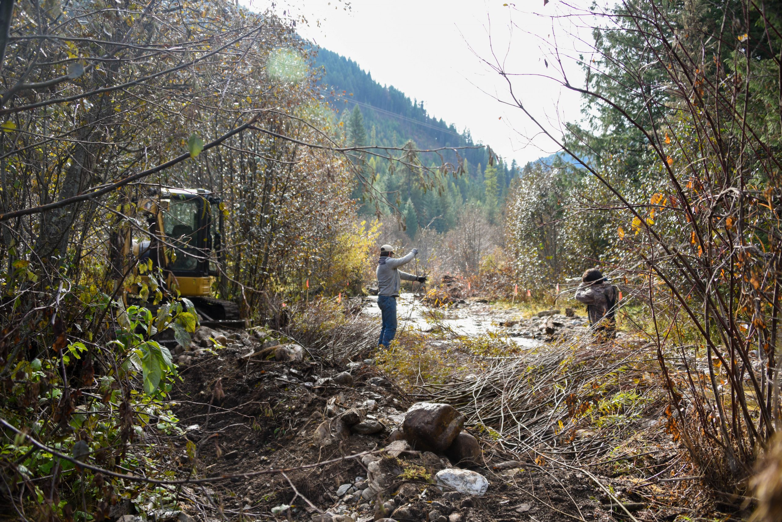 Read more about the article Crow Creek Restoration Project completed