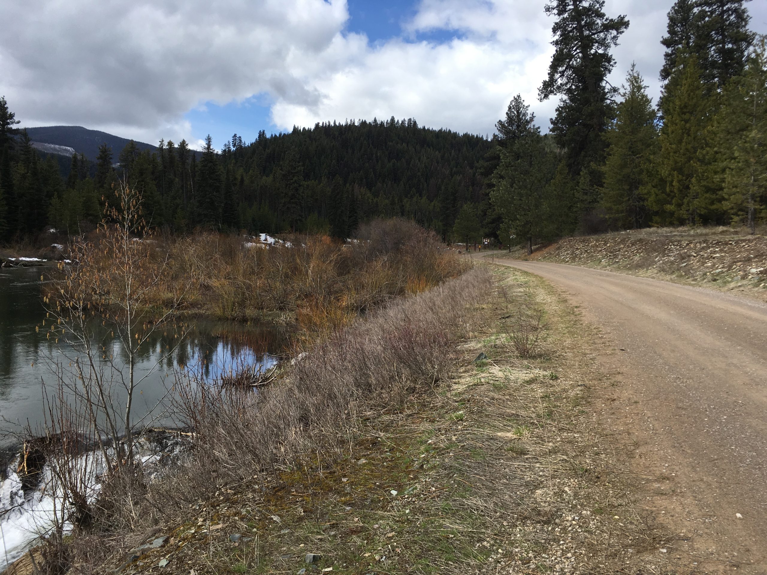 You are currently viewing RFPs issued for multiple projects in the Fishtrap Creek drainage