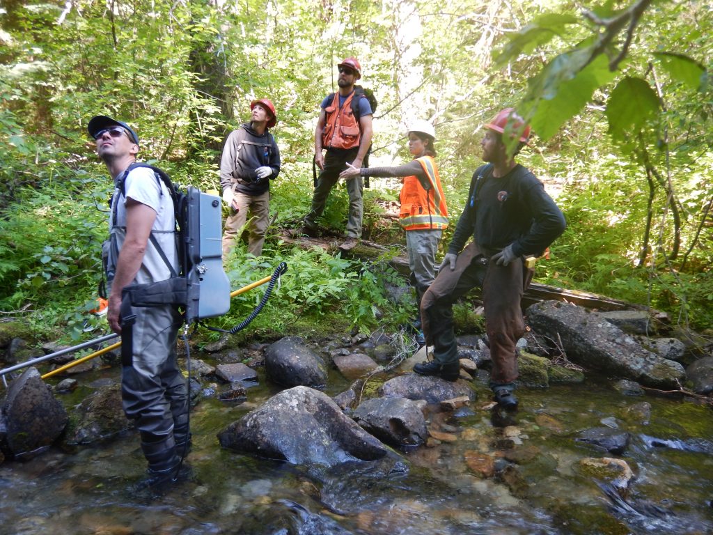 Partners engaging in collaborative restoration in Upper Prospect Creek
